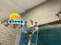 -抚顺美食·老上海味道