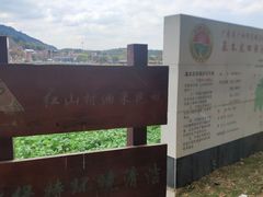 -红山村