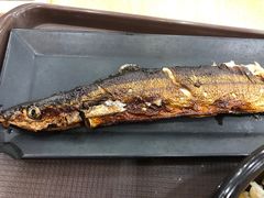 -食其家·牛丼咖喱(文三路店)