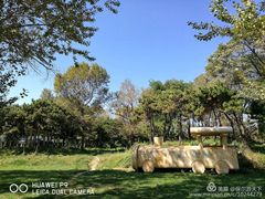 -兴城海滨风景区