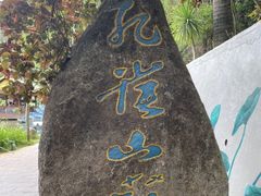 -西双版纳原始森林公园