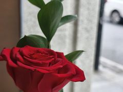 -菲乐餐厅(三十年经营·湖滨路店)