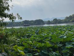 -印象西湖·最忆是杭州实景演出