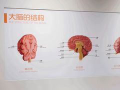-龙岗区科技馆