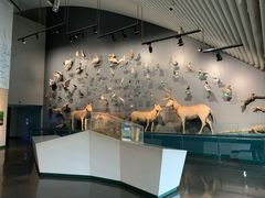 -中国湿地博物馆
