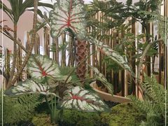 -KingThaia金泰兰(滨江天街店)