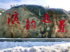 -塘沽森林公园