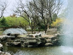 -尚庄度假村·庭台树下·户外烧烤·团建CS·轰趴营地(上庄水库店)