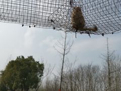 -合肥野生动物园
