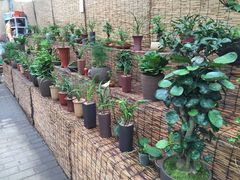 -秦美花卉(天朗·莱茵小城2期店)