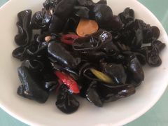 -食家鸽园