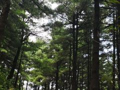 -苍山感通索道