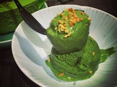 -柴务处·柴犬主题狗咖