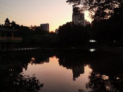 -晓港公园