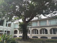 -九龙公园
