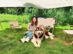 -宠福鑫康馨动物医院·骨科·眼科