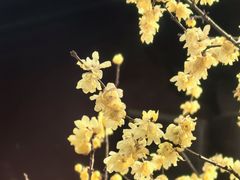 -山外山·林语花园餐厅