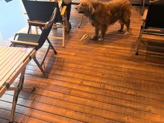 -耶里夏丽·丝路新疆菜·清真食品(徐汇南丹东路臻选店)