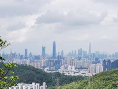 -深圳仙湖植物园