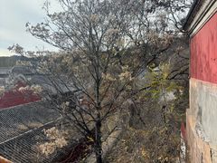 -清真喜兰老丁羊汤特色小吃