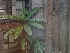 -福田家月子中心 产后 月嫂(市立母子医院店)