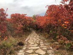 -周口店坡峰岭风景区