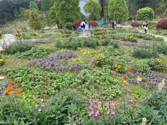 -铁山坪森林公园