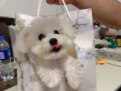 -PETKIT小佩宠物·低压洗护(国顺东路店)