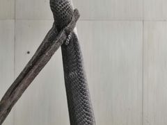 -荔城生鲜盛宴(番禺旗舰店)