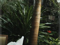 -白天鹅宾馆·流浮阁咖啡厅