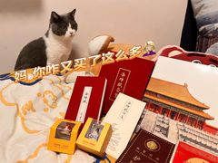 -故宫博物院(故宫)