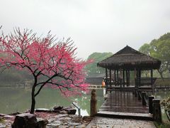 -兰亭风景区