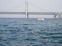 -星海湾跨海大桥