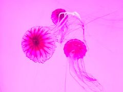 -沈阳海洋探索中心