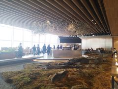 -Seesaw Coffee(朝阳大悦城店)