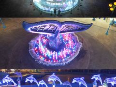 -海合安成都极地海洋公园