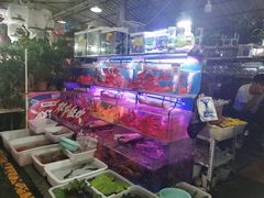 -曲阳花鸟市场(曲阳路店)