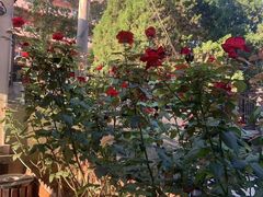 -德全心悦酒店(北京金台路地铁站店)