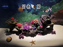 -山东博物馆