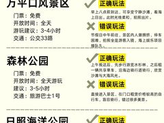 -日照灯塔风景区