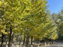 -长白岛森林公园