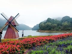 -广州市石门国家森林公园