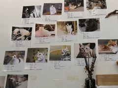 -平行世界·猫咖(首经贸店)
