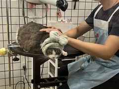 -熊小胖宠物生活馆(天华园店)