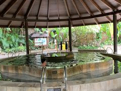 -厦门日月谷温泉渡假村