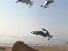 -老虎石海上公园