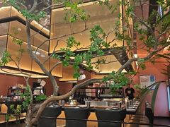 -大神太神·铁板烧(七宝领展广场店)