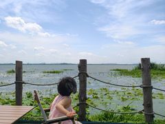 -七的湖·晚芳亭·阳澄湖农家菜·大闸蟹(莲花岛店)