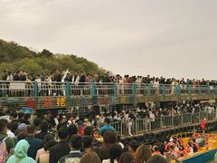-巢湖姥山岛
