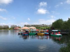 -上海长兴岛郊野公园